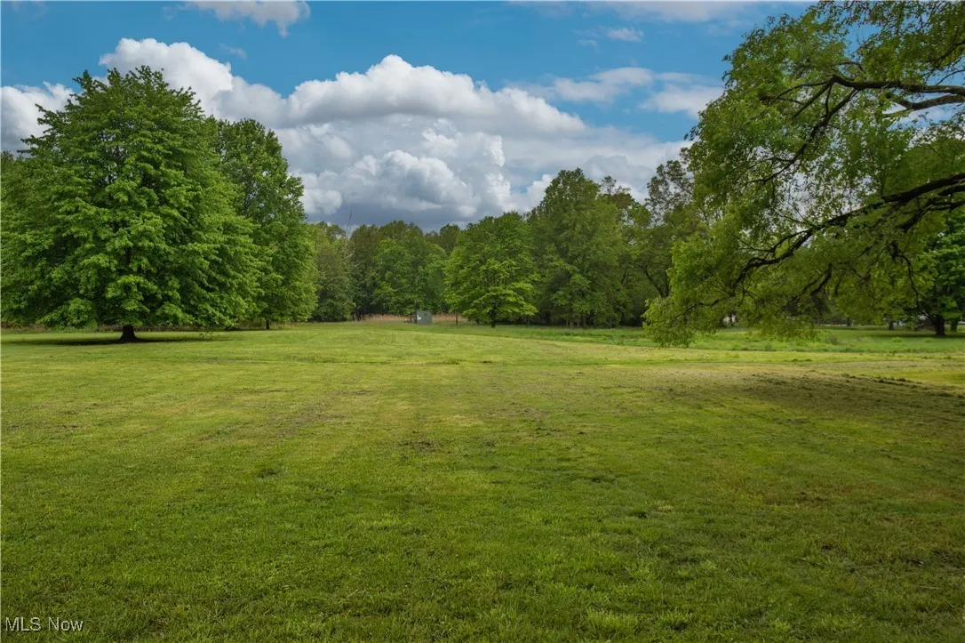 View of green lawn featuring a forest view
