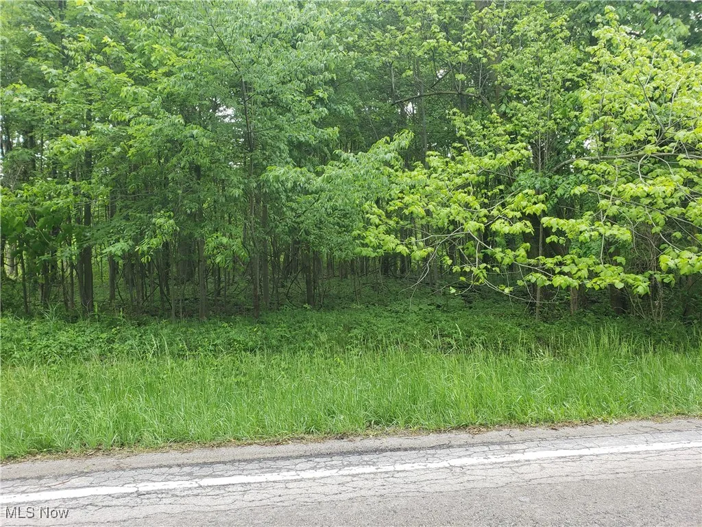 West Road, Wellington, Ohio,MLS Now Listing ID
