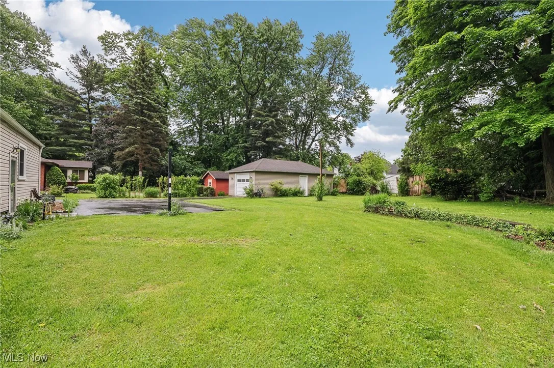 View of grassy yard featuring driveway and view of scattered trees