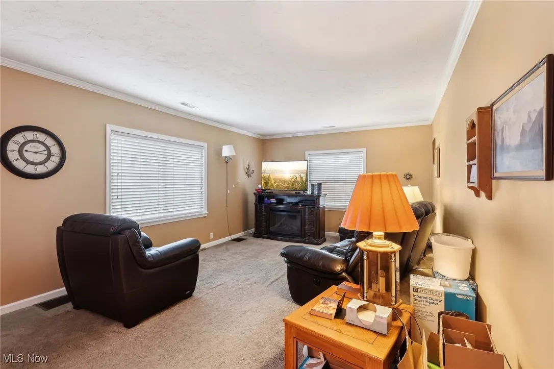 Living area featuring ornamental molding, carpet floors, and baseboards