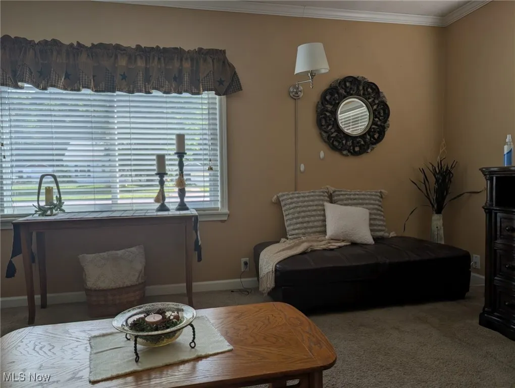 Living room with carpet and ornamental molding