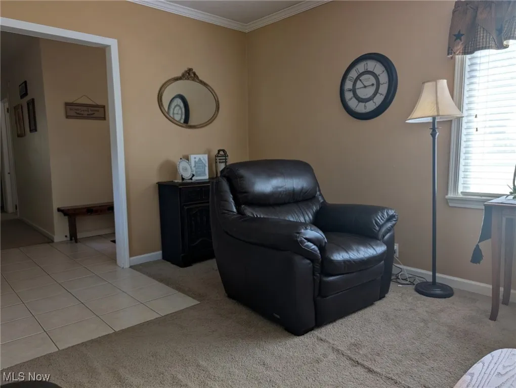 Sitting room with ornamental molding and carpet flooring