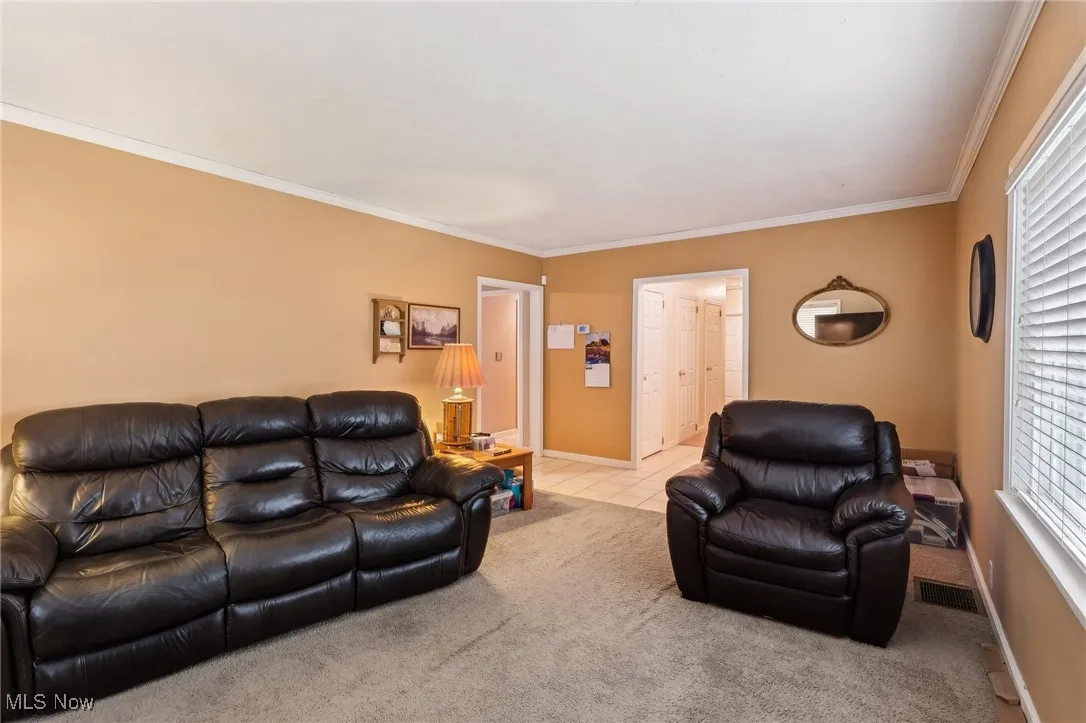 Carpeted living room featuring ornamental molding, baseboards, and tile patterned flooring