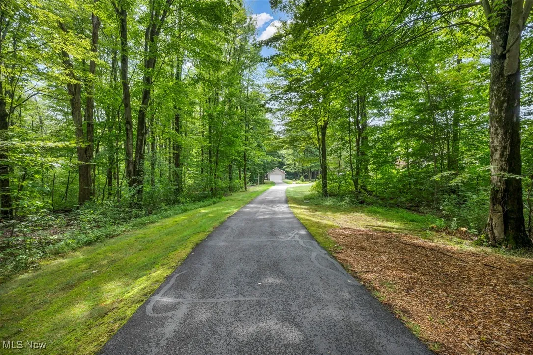 View of asphalt driveway