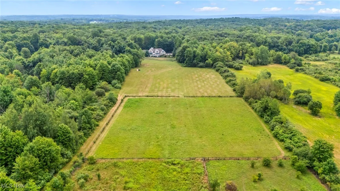 Overview of rural landscape featuring a forest