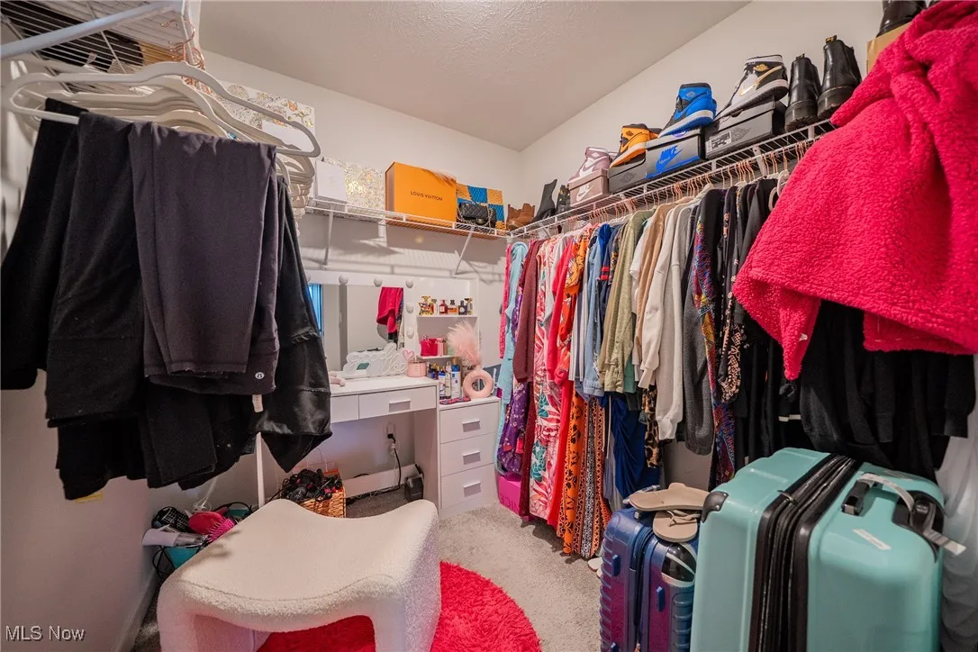 Spacious closet featuring carpet floors