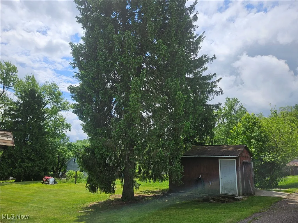 View of green lawn