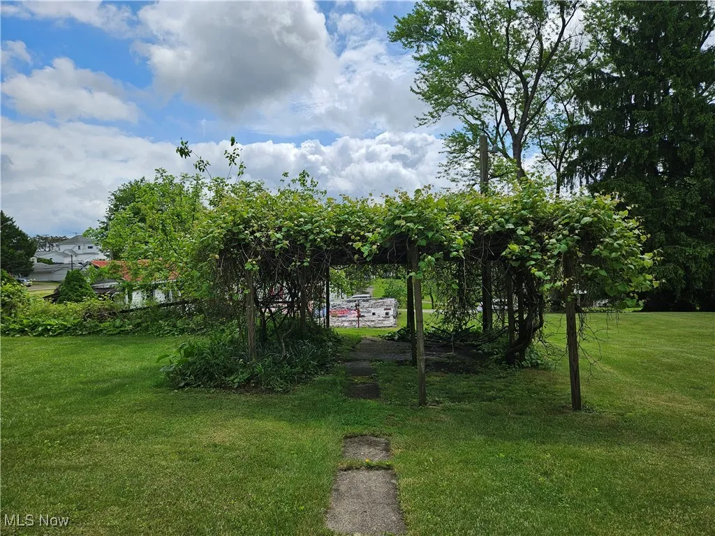 View of green lawn