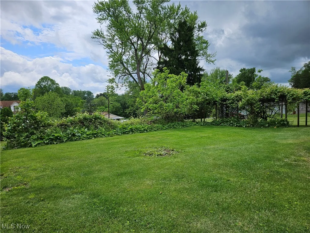 View of grassy yard