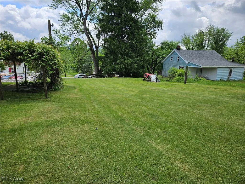 View of green lawn
