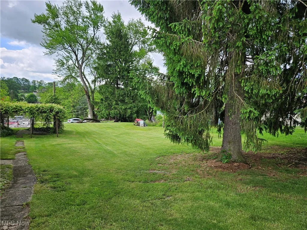View of green lawn