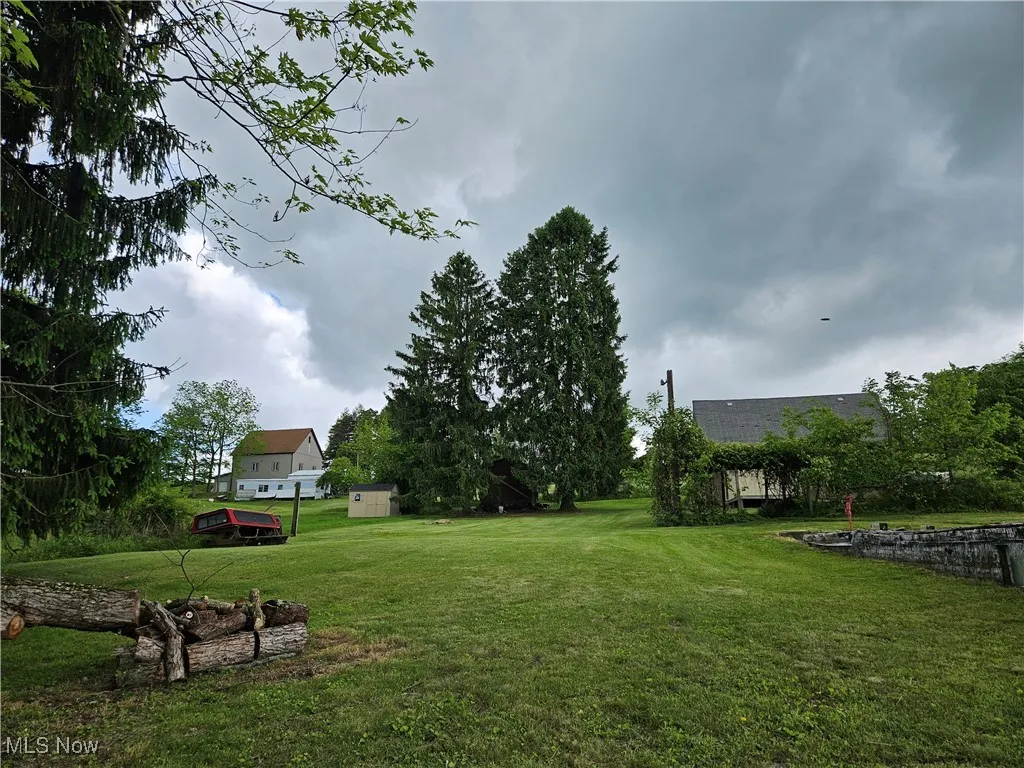 View of grassy yard