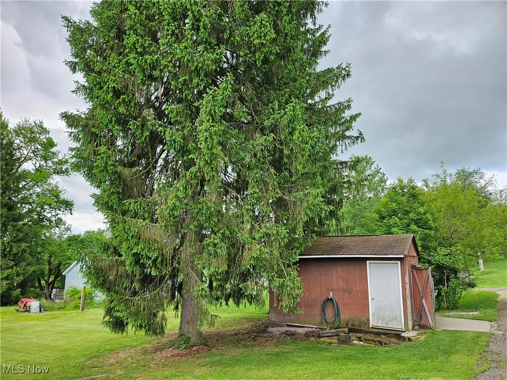 View of grassy yard