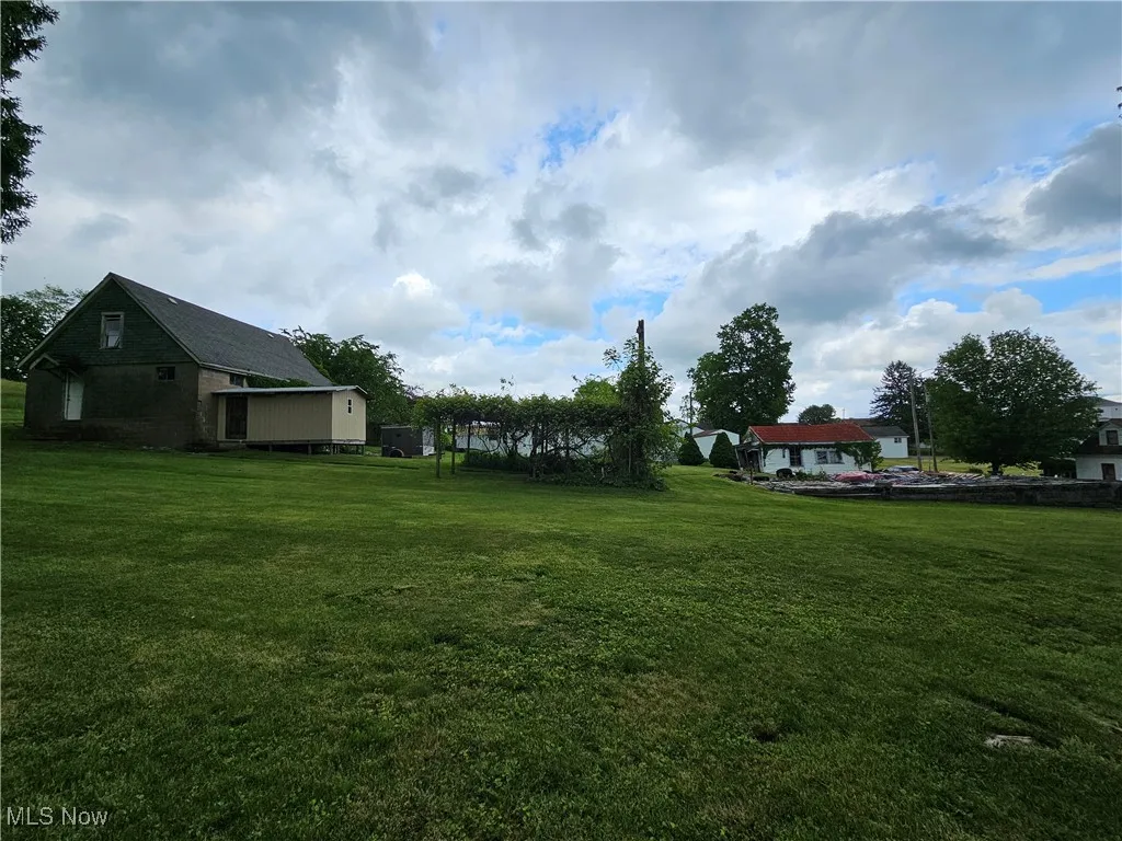 View of grassy yard