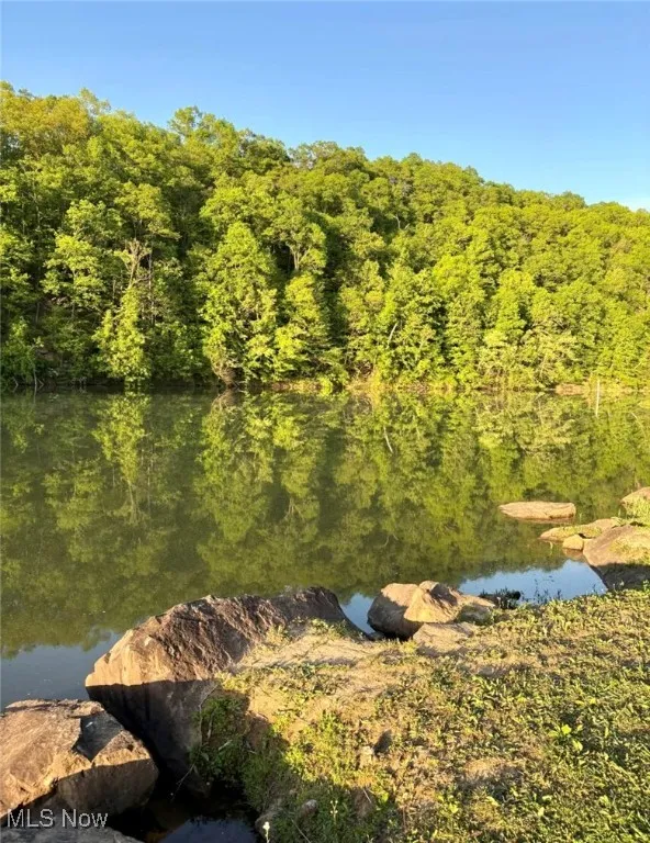 1426 Lake Lane Road, Sutton, West Virginia,MLS Now Listing ID