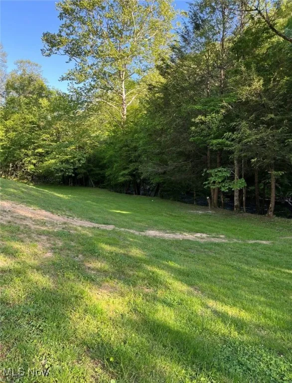 1426 Lake Lane Road, Sutton, West Virginia,MLS Now Listing ID