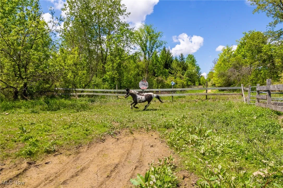 12793 New London Eastern Road, Spencer, Ohio,MLS Now Listing ID