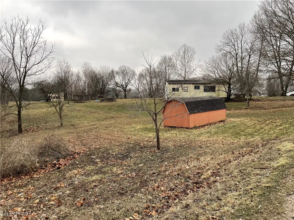 View of grassy yard