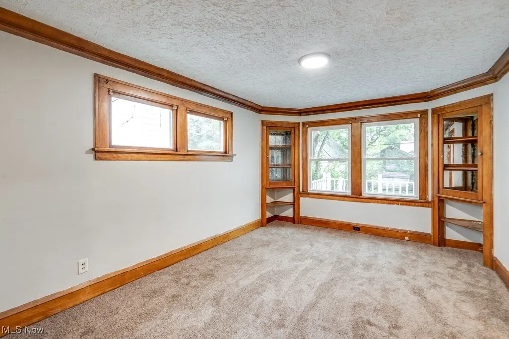 Carpeted spare room featuring crown molding, a textured ceiling, plenty of natural light, and baseboards