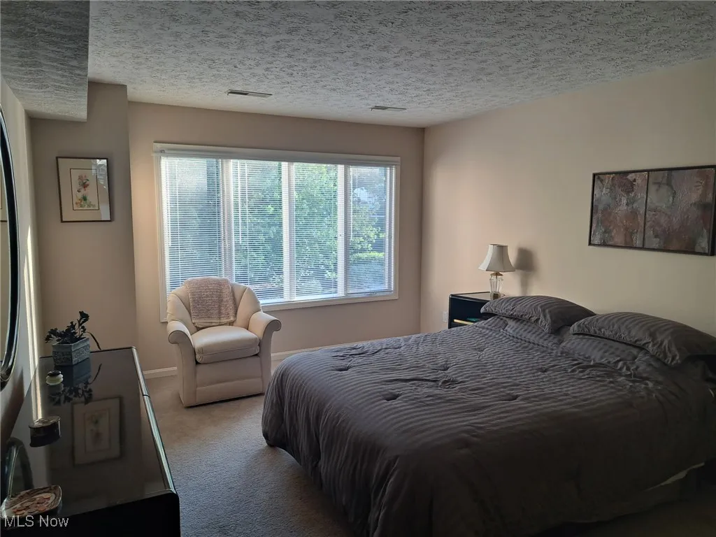 Carpeted bedroom with a closet
