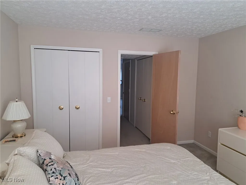 Carpeted bedroom with a closet