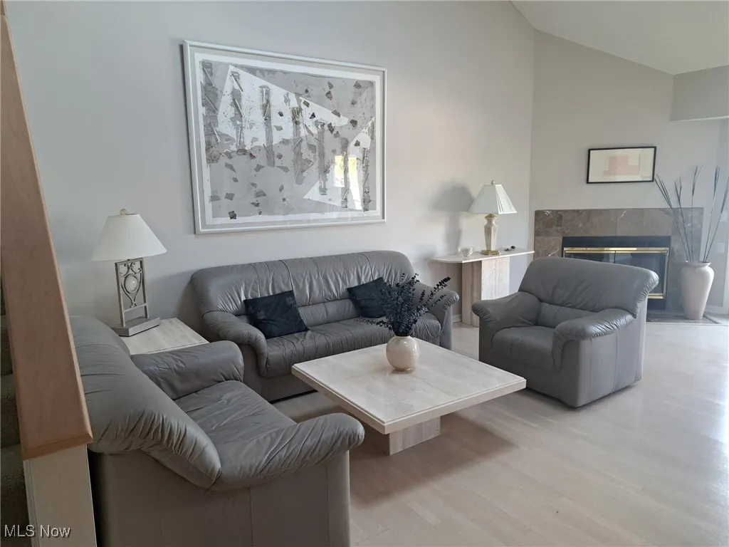 Living room lofted ceiling, and a fireplace