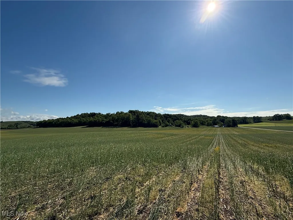 Township Road 154, West Lafayette, Ohio,MLS Now Listing ID