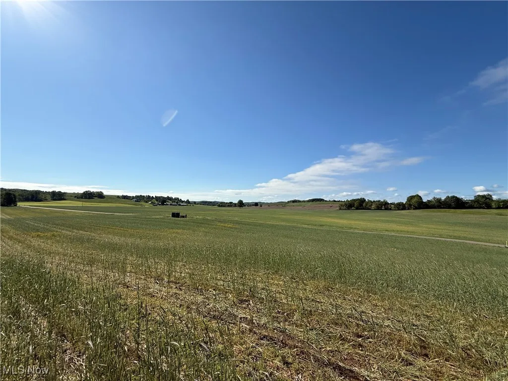 View of local wilderness featuring rural landscape
