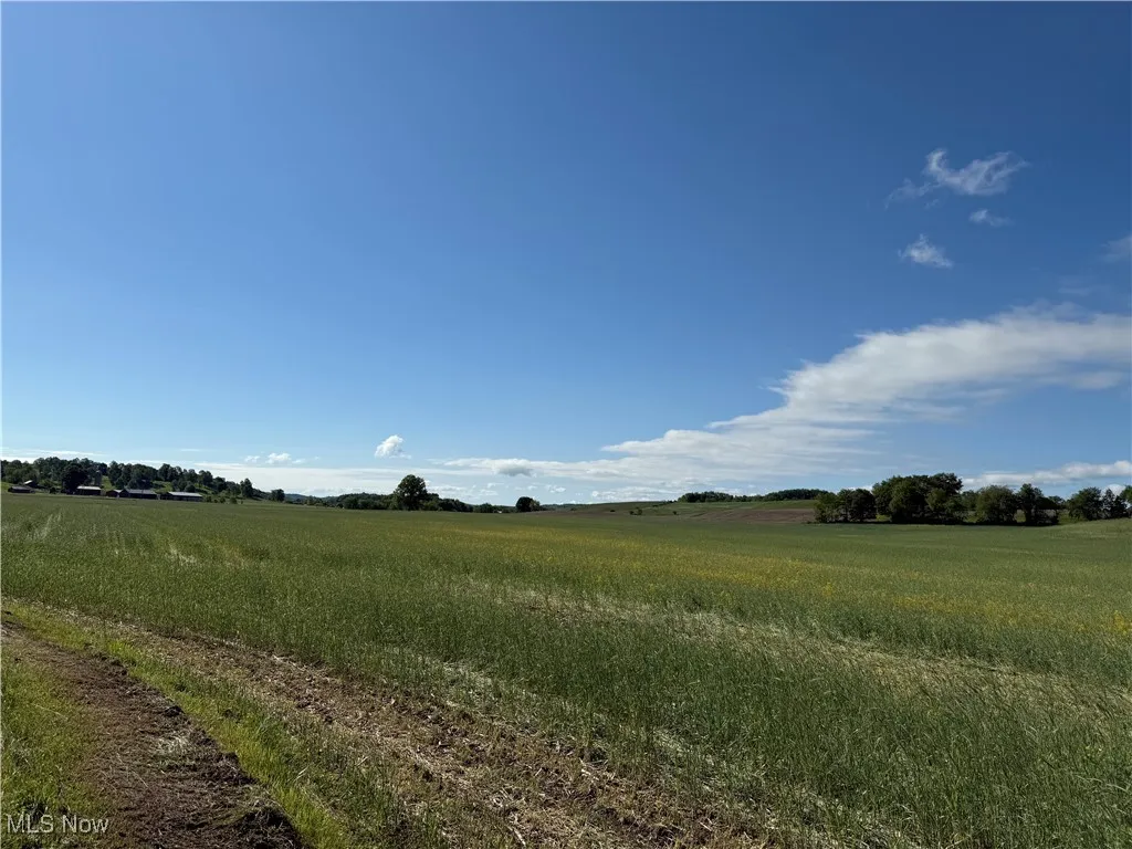View of local wilderness with rural landscape