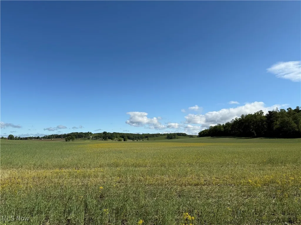 View of undeveloped land with rural landscape