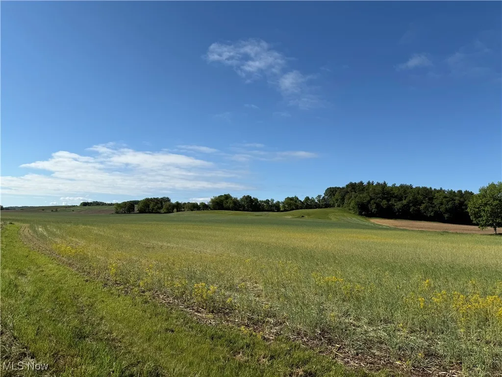 View of nature