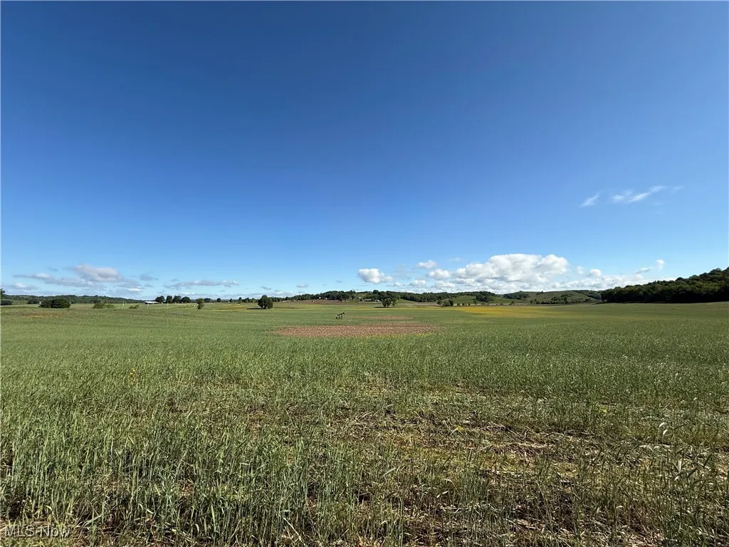View of local wilderness featuring rural landscape