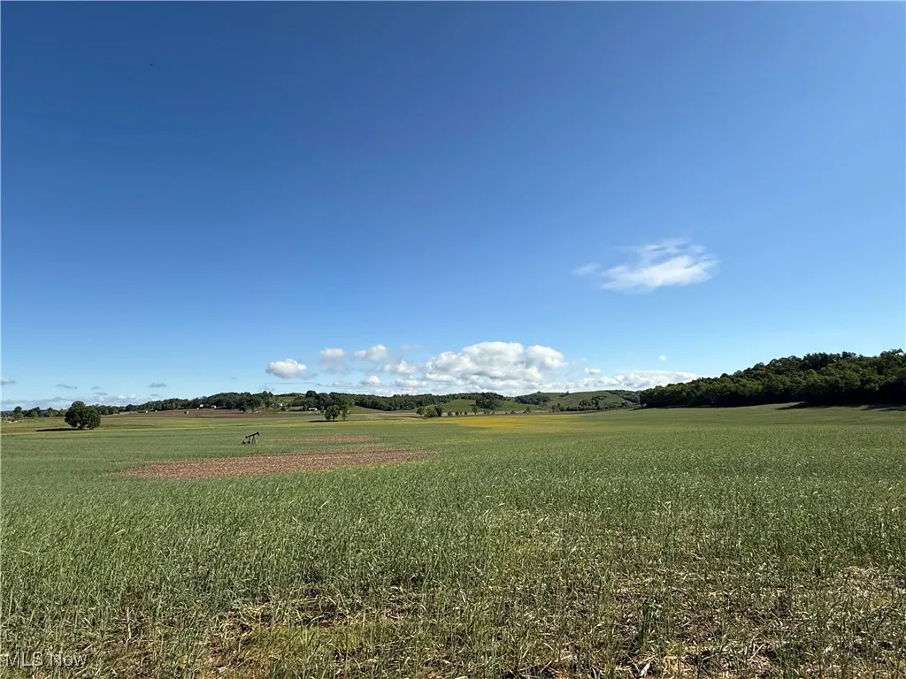 View of nature