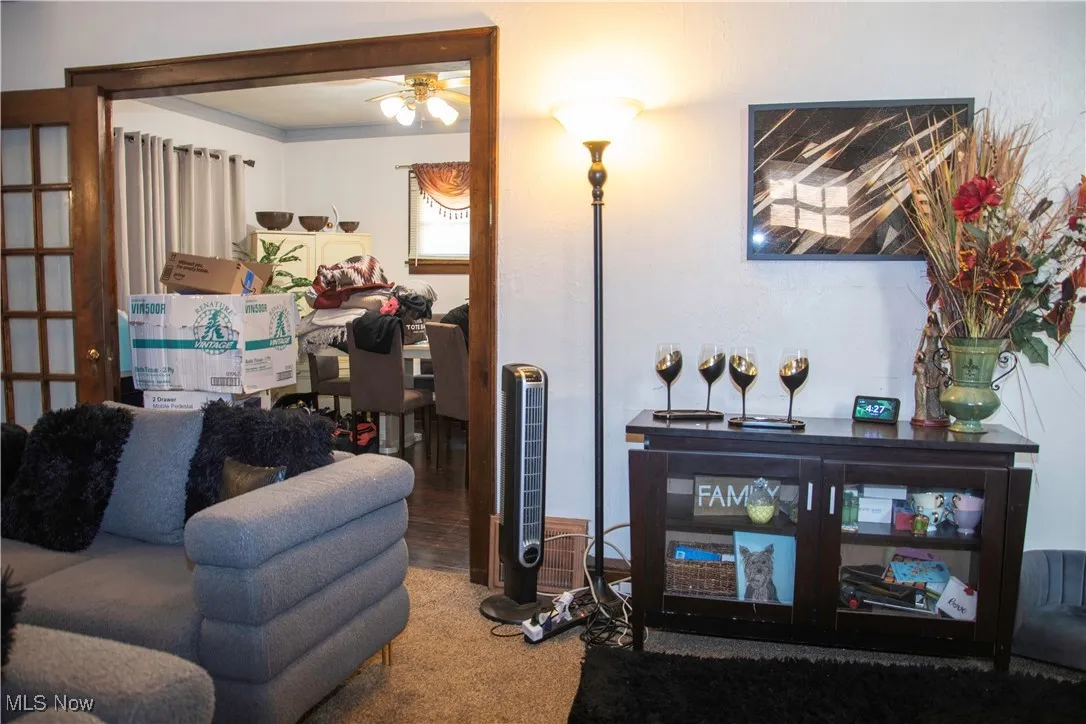 Living area with ceiling fan