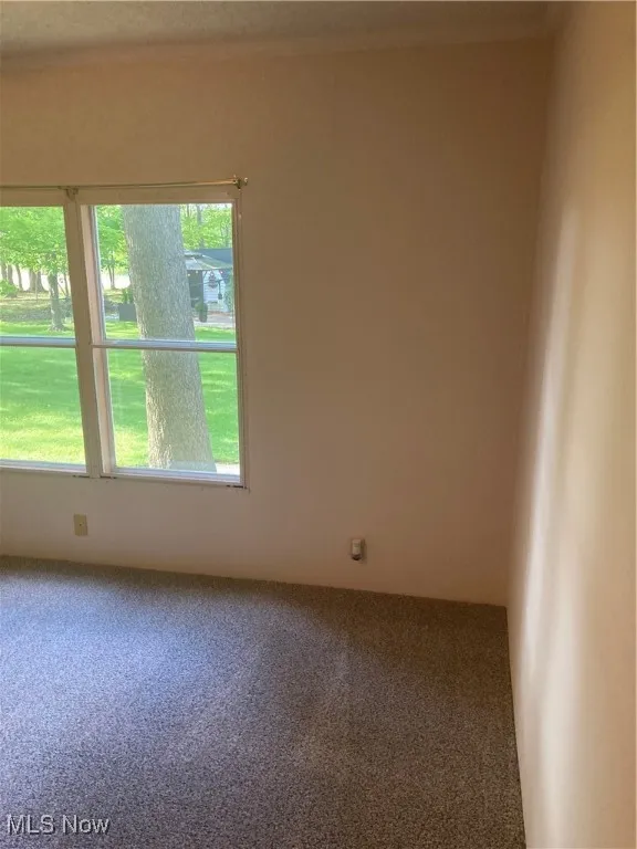 1229 Columbiana Lisbon Road # 39, Columbiana, Ohio,MLS Now Listing ID