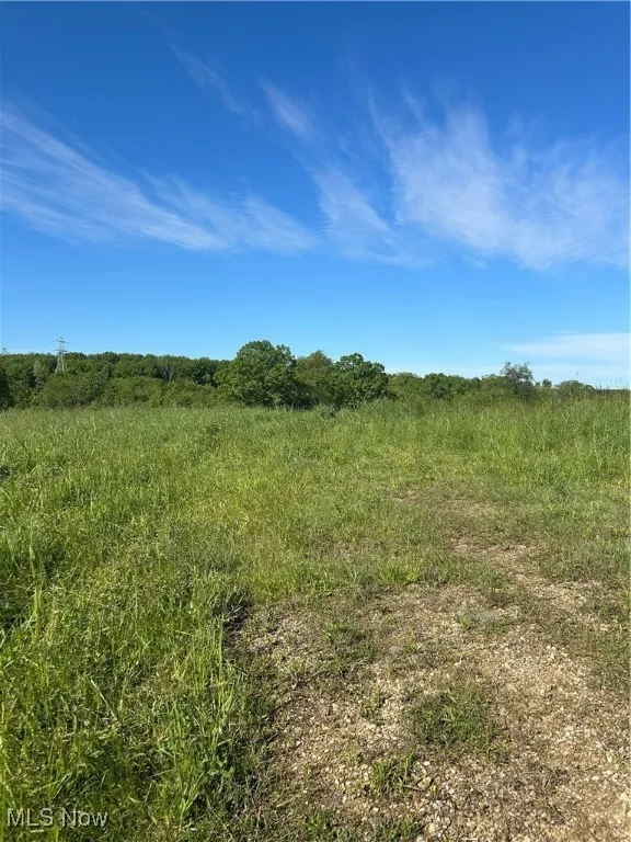 foundry hill Road, Salineville, Ohio 43945,MLS Now Listing ID