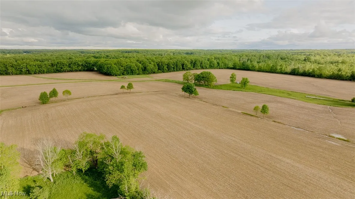 Bird's eye view of a heavily wooded area