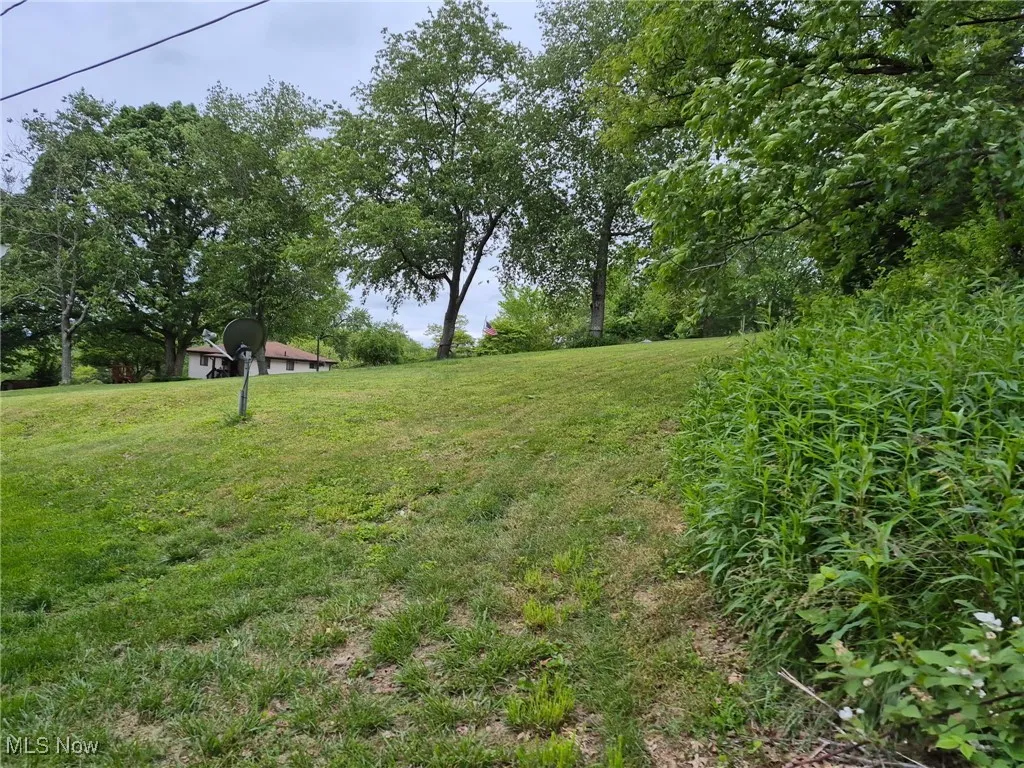 View of grassy yard