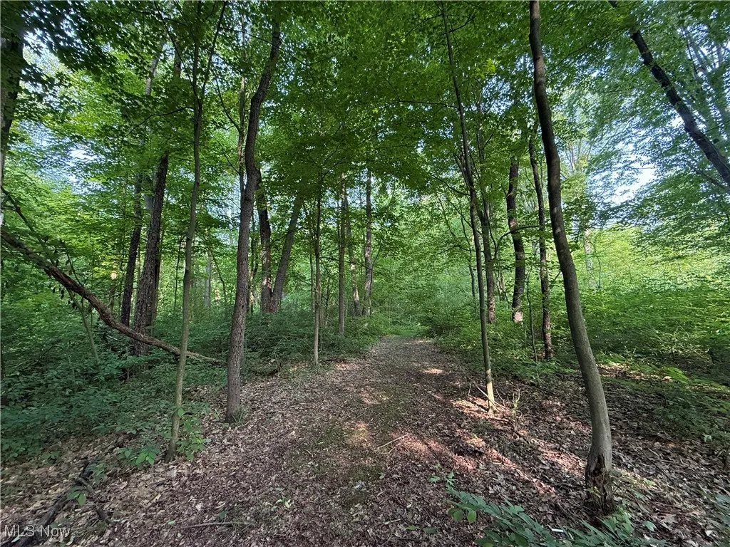 647 Benedict Leavittsburg Road, Leavittsburg, Ohio,MLS Now Listing ID