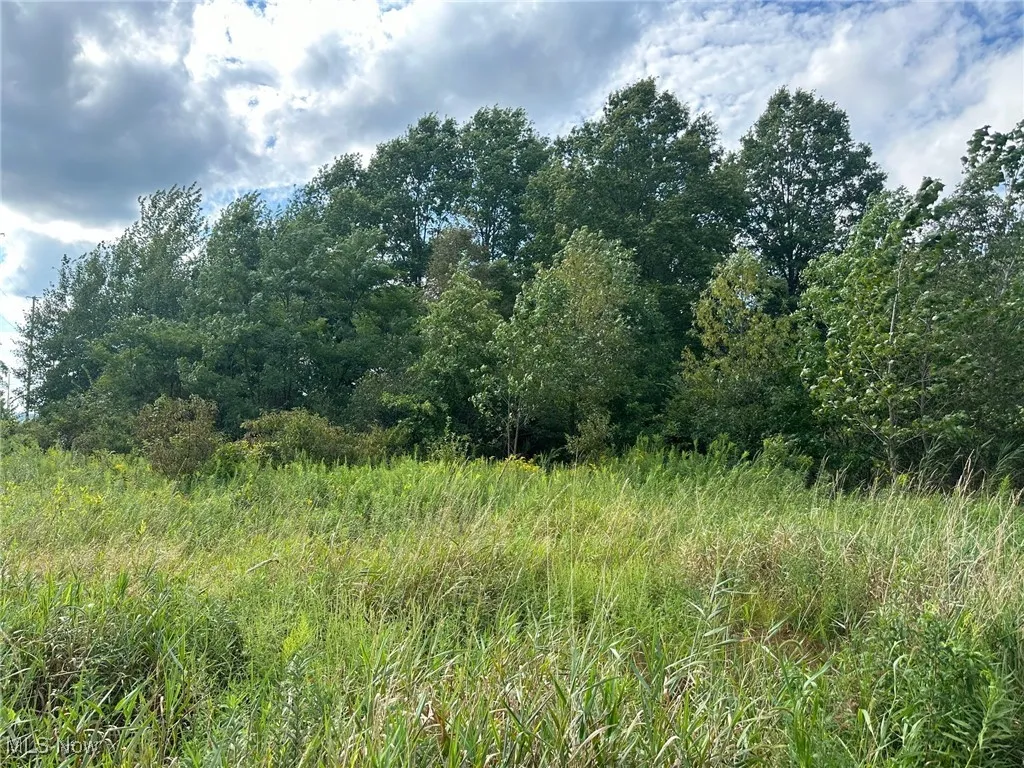View of landscape