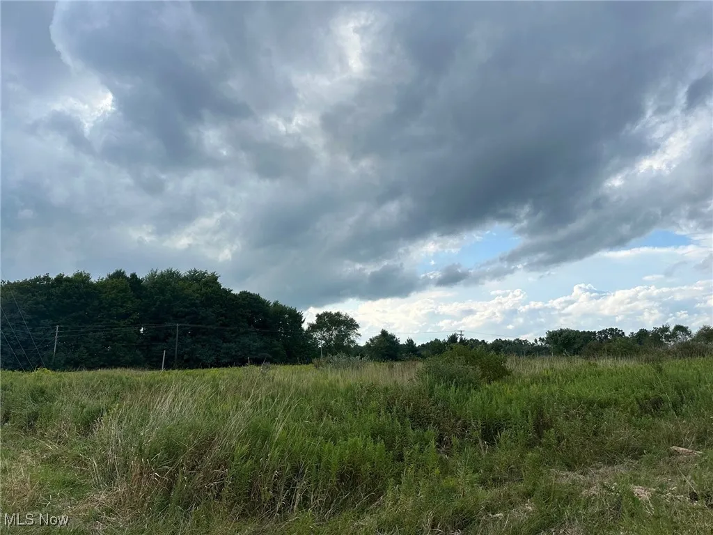 View of local wilderness