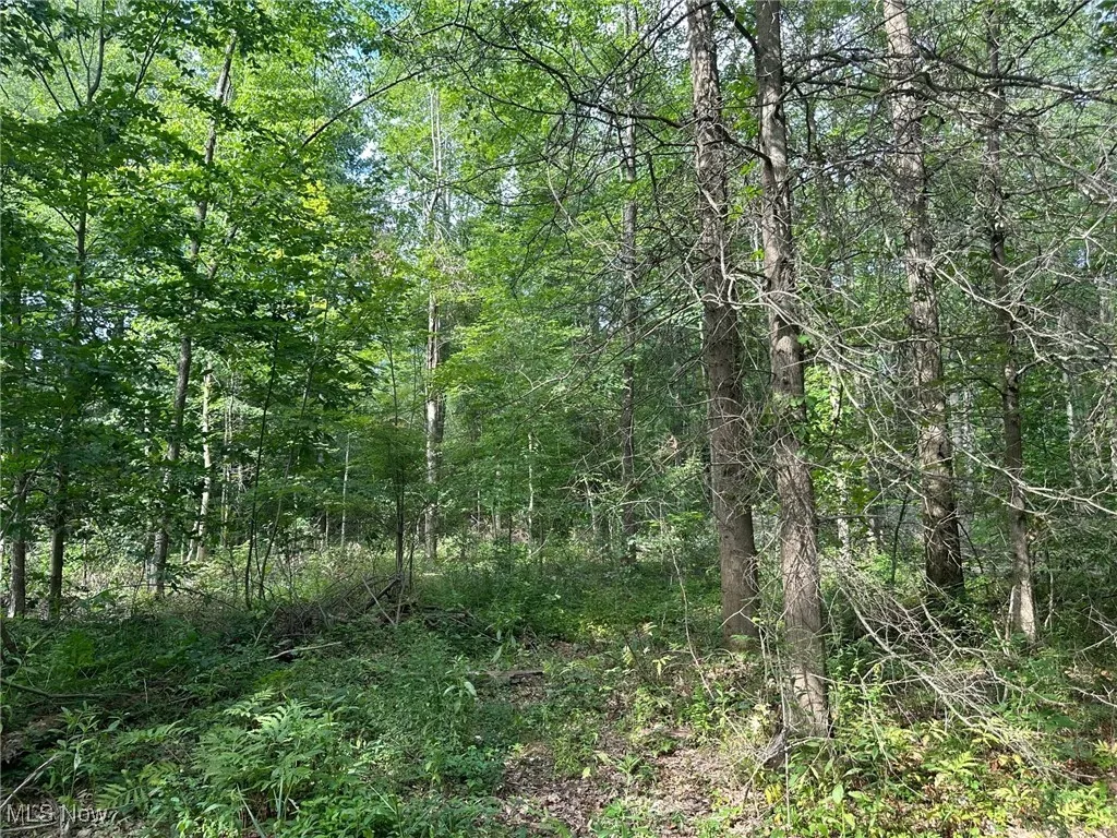 View of landscape