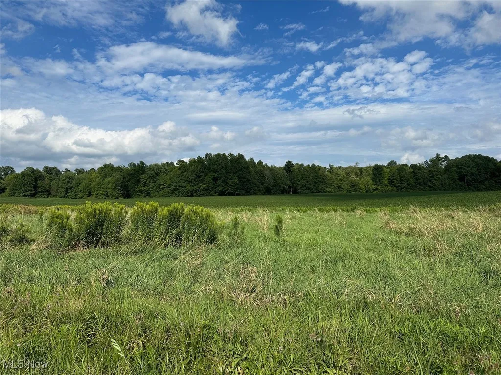View of nature