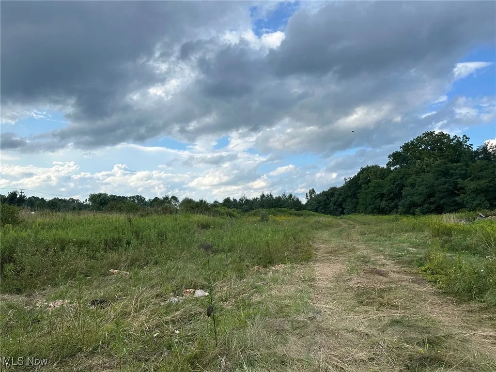 View of local wilderness with a rural view