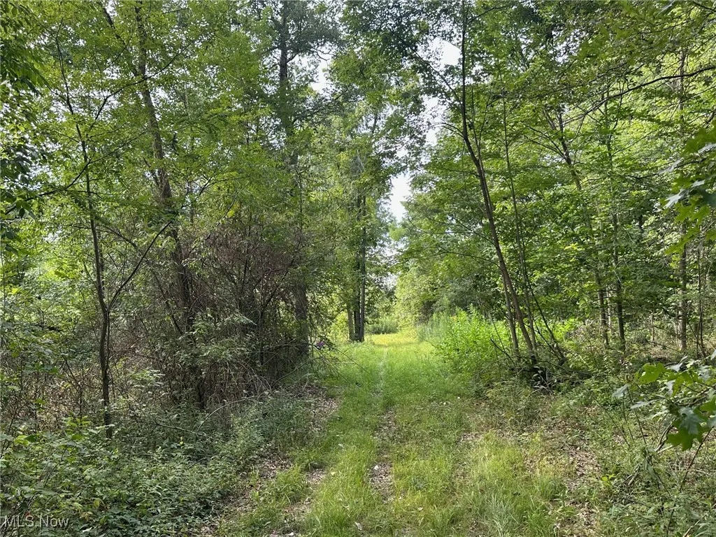 View of landscape