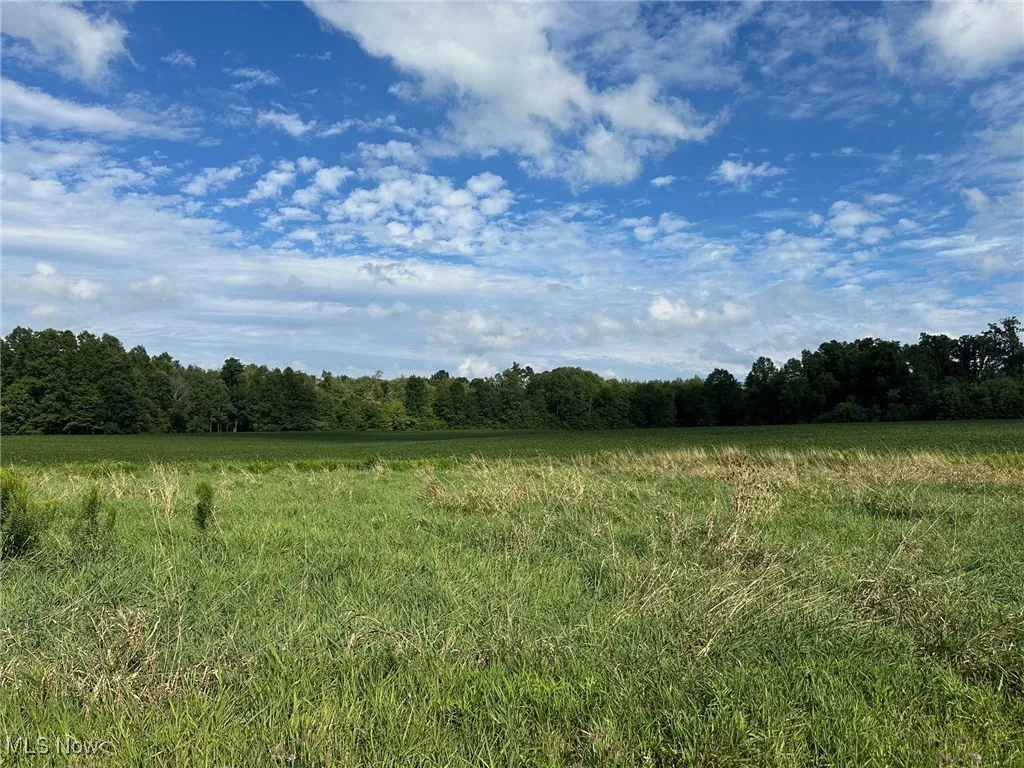 View of local wilderness featuring a rural view