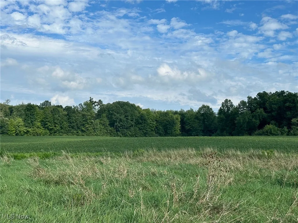 View of nature
