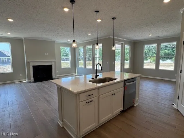 Kitchen featuring open floor plan, dark wood-style floors, ornamental molding, stainless steel dishwasher, and a textured ceiling