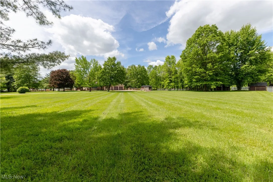 View of green lawn