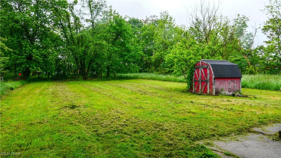 View of grassy yard